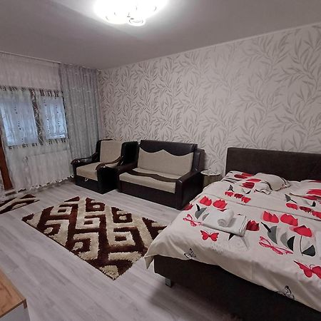 Garsoniera George Apartment Tirgu Ocna Ngoại thất bức ảnh