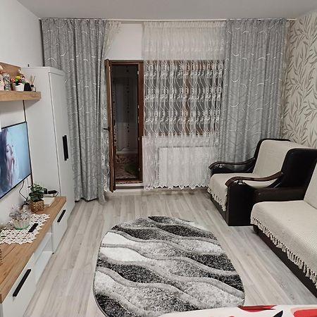Garsoniera George Apartment Tirgu Ocna Ngoại thất bức ảnh
