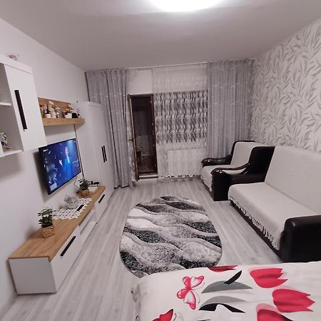 Garsoniera George Apartment Tirgu Ocna Ngoại thất bức ảnh