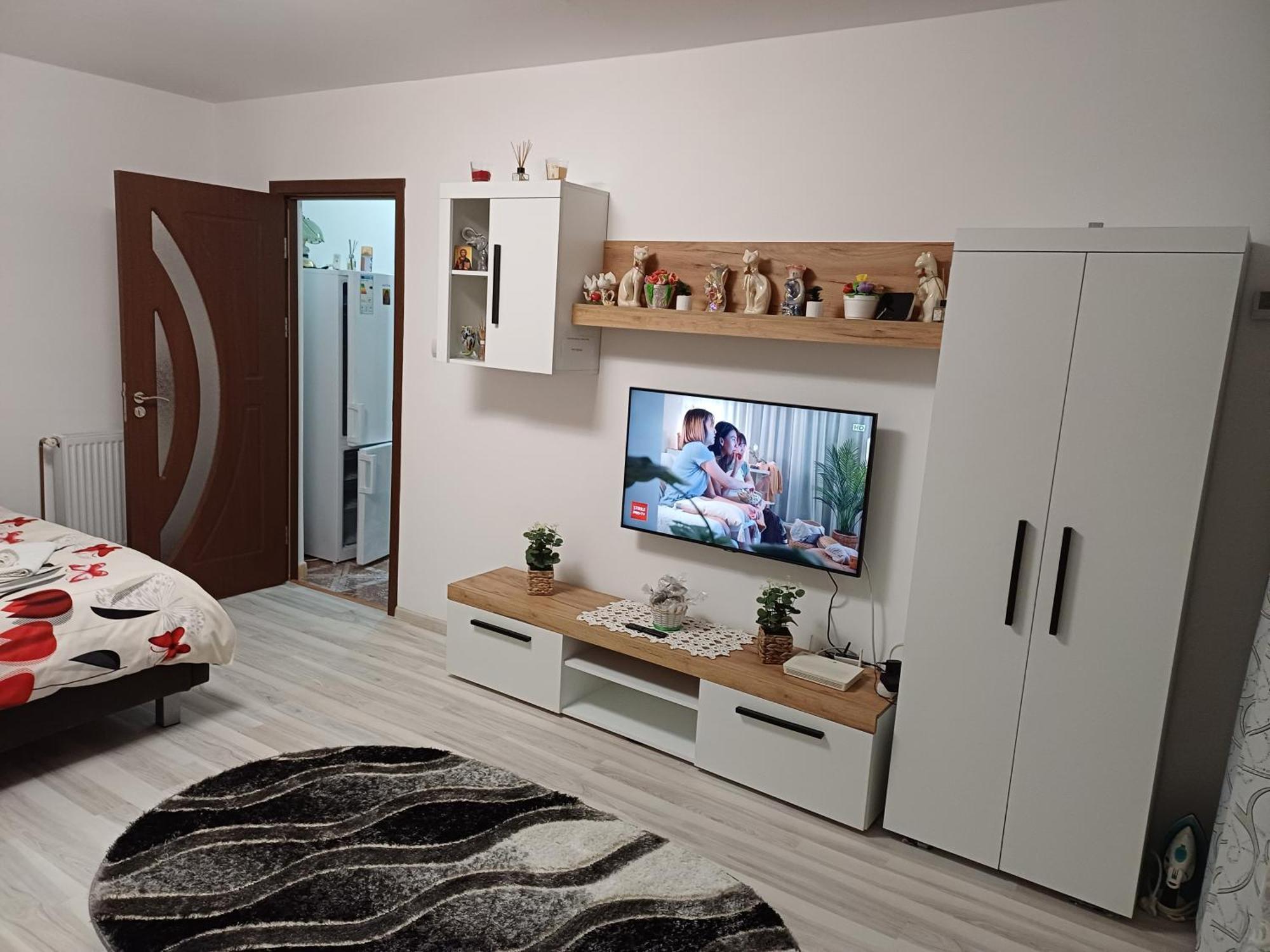 Garsoniera George Apartment Tirgu Ocna Ngoại thất bức ảnh