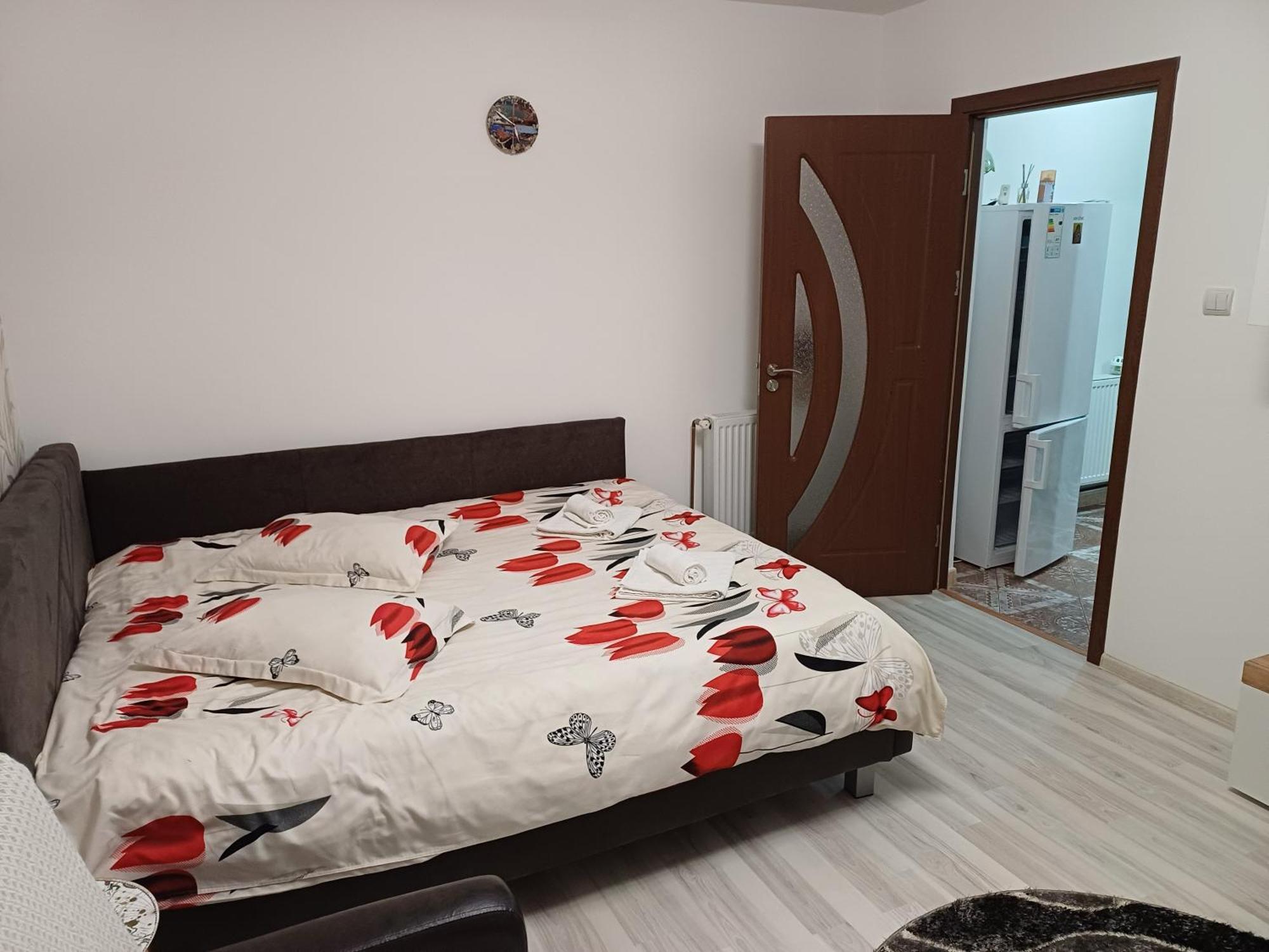 Garsoniera George Apartment Tirgu Ocna Ngoại thất bức ảnh