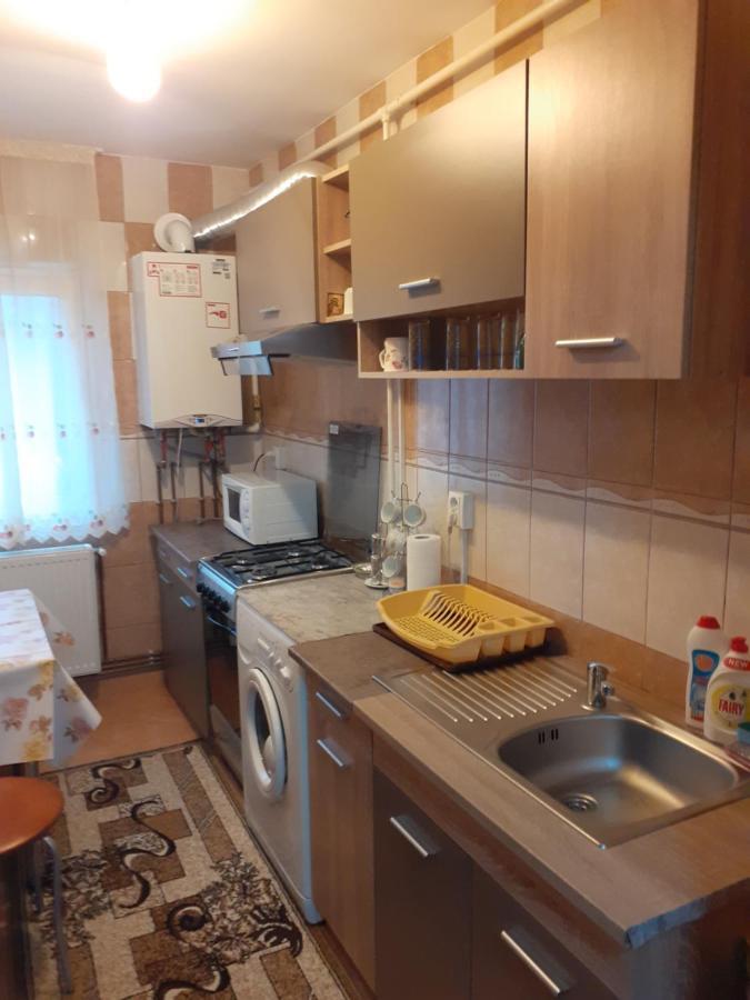 Garsoniera George Apartment Tirgu Ocna Ngoại thất bức ảnh
