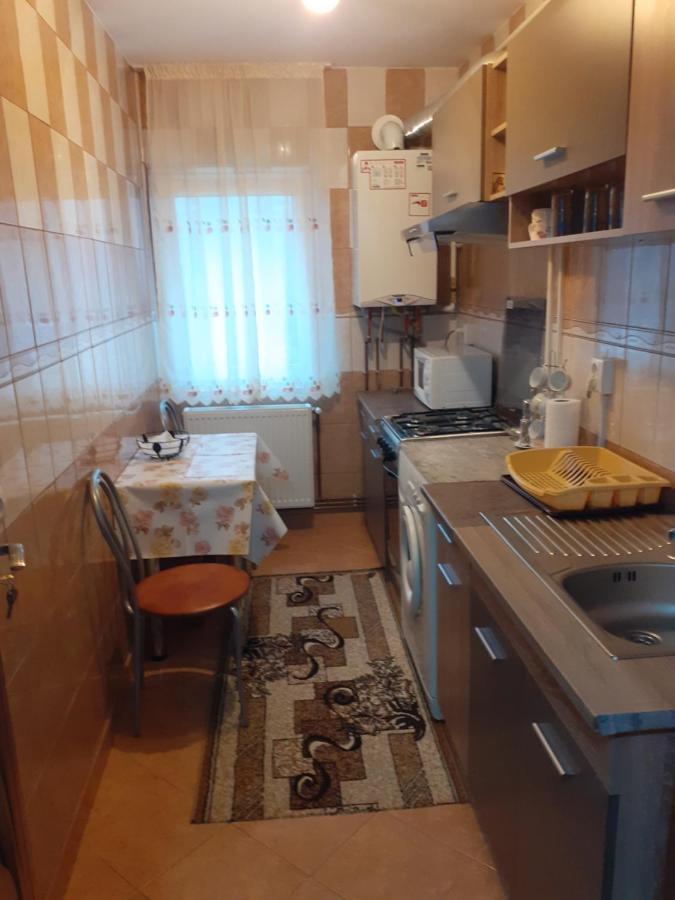Garsoniera George Apartment Tirgu Ocna Ngoại thất bức ảnh