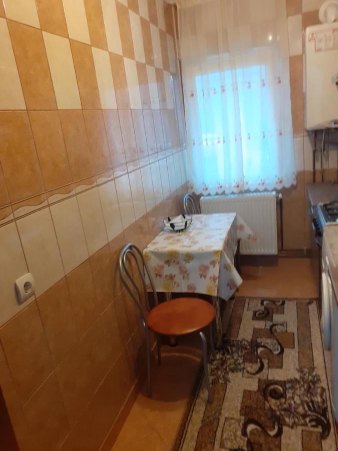 Garsoniera George Apartment Tirgu Ocna Ngoại thất bức ảnh